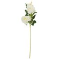 RÓŻA - Gałązka 2 kwiaty i pąk Cream/Yellow 63 cm